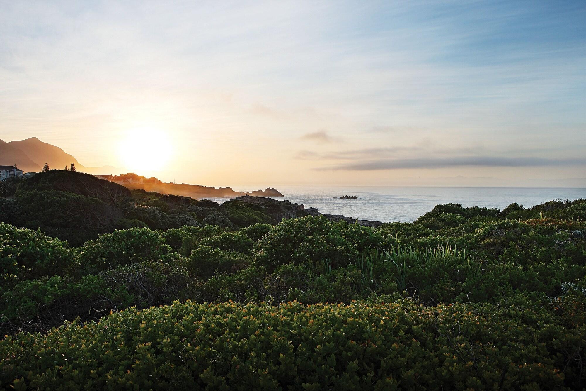 One Marine Drive Boutique Hotel Hermanus Extérieur photo